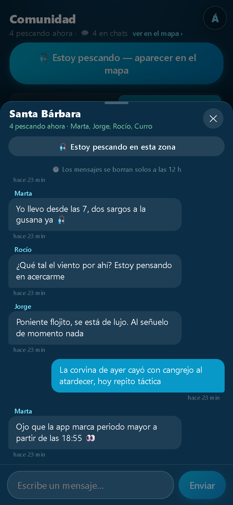 Chat de la playa: pescadores comentando en vivo cómo va la jornada, el viento y los cebos que funcionan